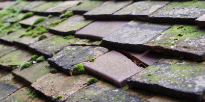 Coombe roof repair costs